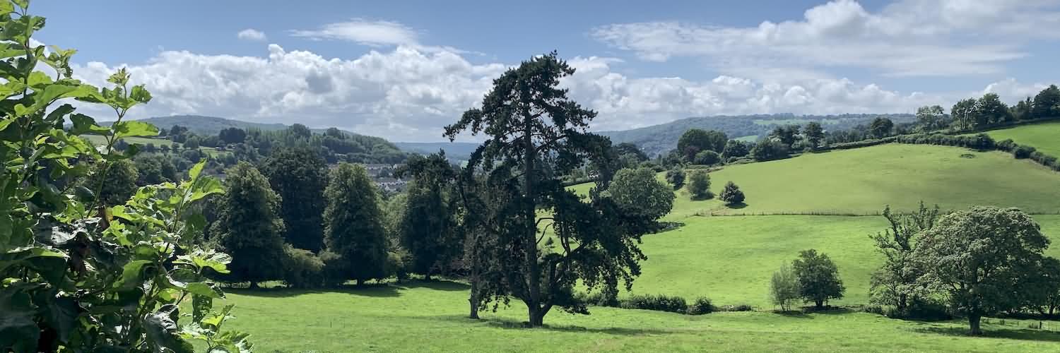 Trees in the landscape, Batheaston beyond